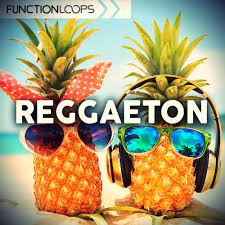 Function Loops Reggaeton