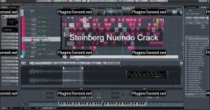 Steinberg Nuendo Crack free download key