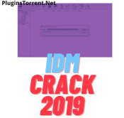 IDM CRACK 2019