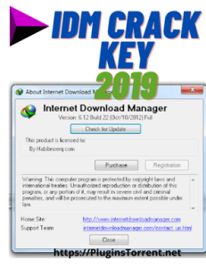 idm crack key 2019